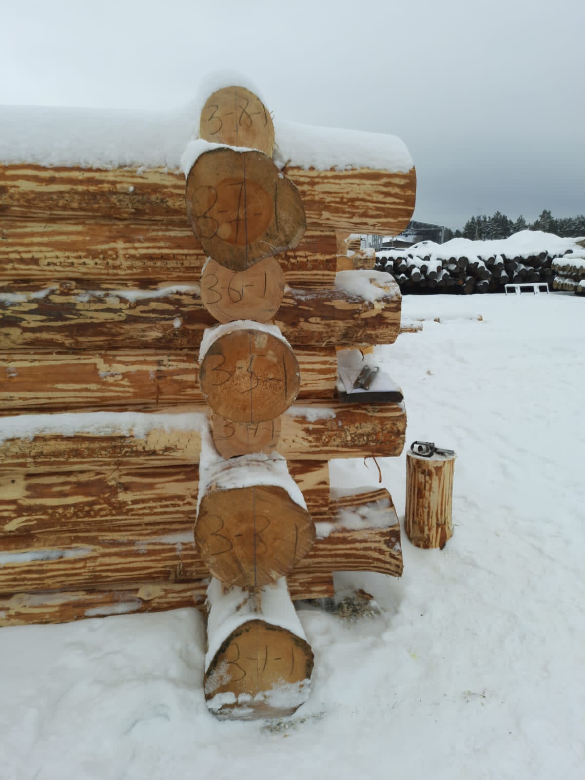 project-banya-1 (11)