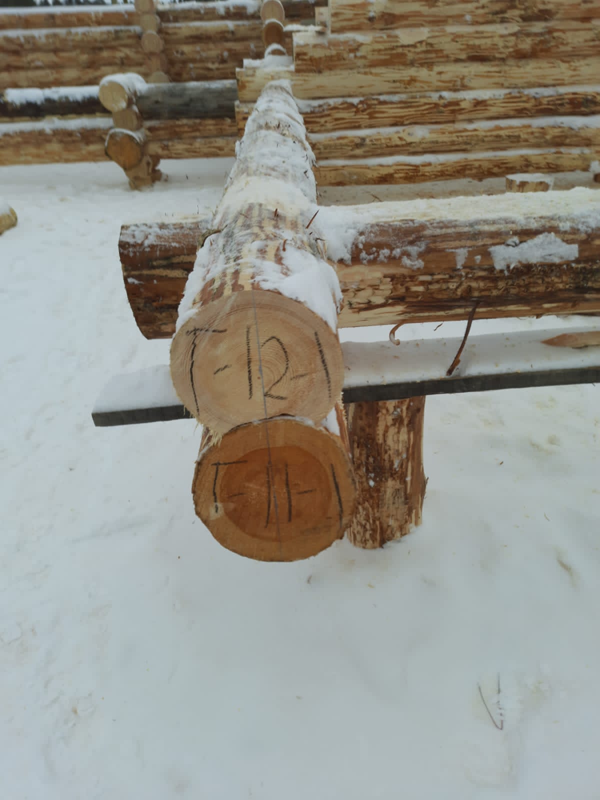 project-banya-1 (6)
